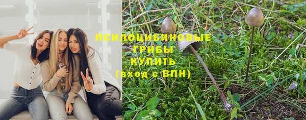 стафф Алзамай