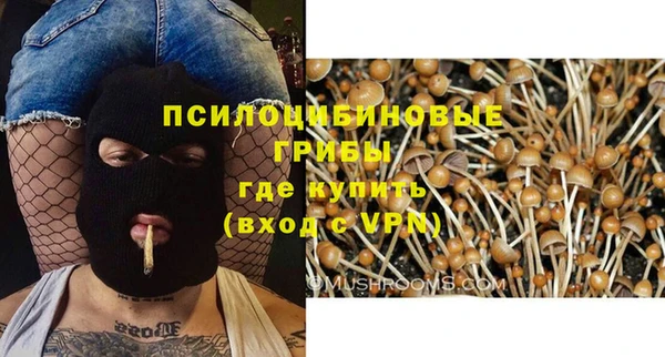 стафф Алзамай