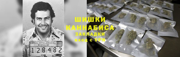 стафф Алзамай