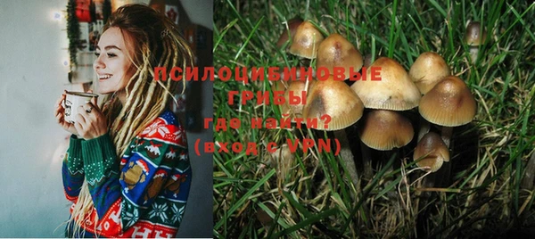 стафф Алзамай
