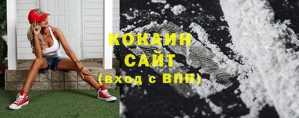 стафф Алзамай