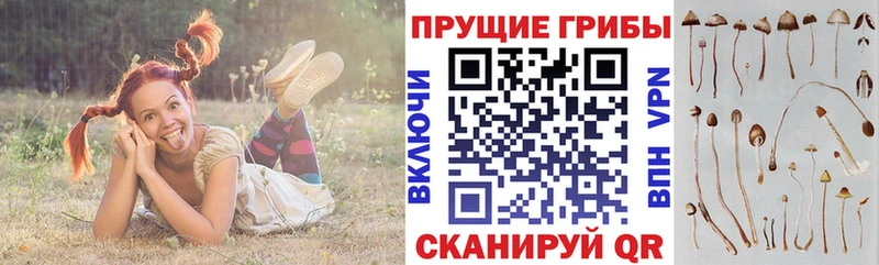 Псилоцибиновые грибы прущие грибы  Елец 