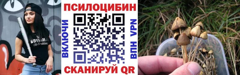 Псилоцибиновые грибы Cubensis Елец